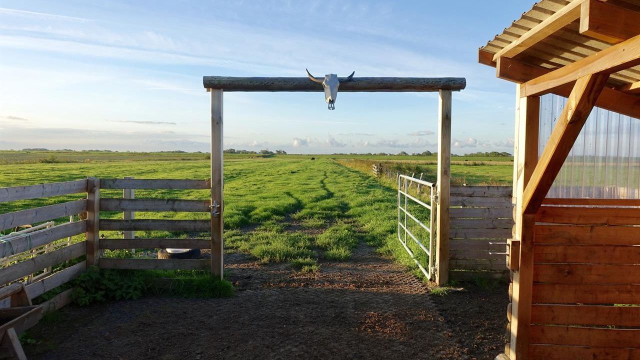 O.K .Corral O.K .Corral